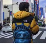 Jacket Supreme x The North Face Statue of Liberty TNF005 - Image 24