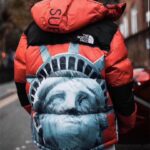Jacket Supreme x The North Face Statue of Liberty TNF005 - Image 21