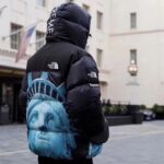 Jacket Supreme x The North Face Statue of Liberty TNF005 - Image 19
