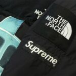 Jacket Supreme x The North Face Statue of Liberty TNF005 - Image 14