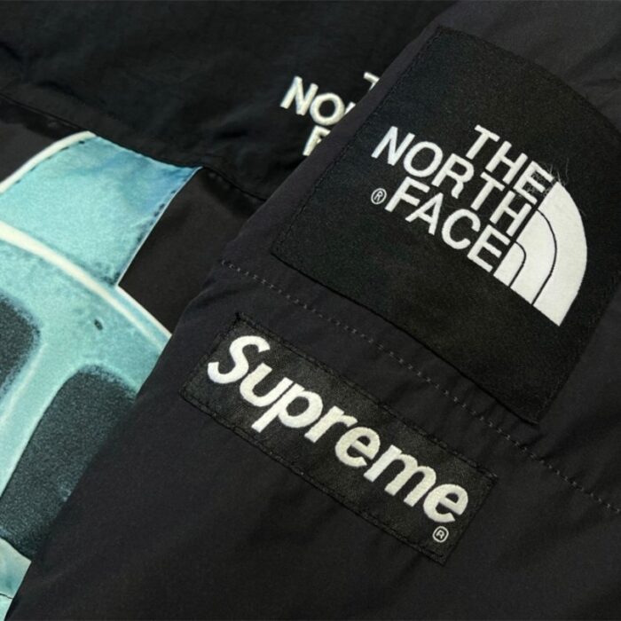 Jacket Supreme x The North Face Statue of Liberty TNF005 - Image 14