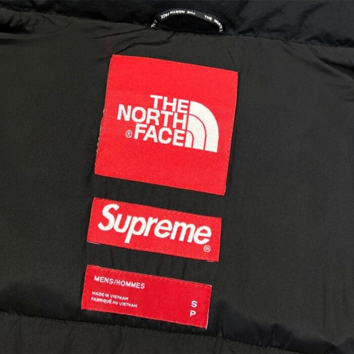 Jacket Supreme x The North Face Statue of Liberty TNF005 - Image 27