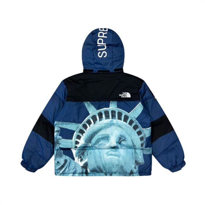 Jacket Supreme x The North Face Statue of Liberty TNF005 - Image 5