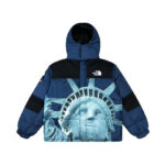 Jacket Supreme x The North Face Statue of Liberty TNF005 - Image 9