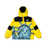 Jacket Supreme x The North Face Statue of Liberty TNF005 - Image 7