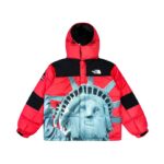 Jacket Supreme x The North Face Statue of Liberty TNF005 - Image 6
