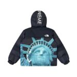 Jacket Supreme x The North Face Statue of Liberty TNF005 - Image 4