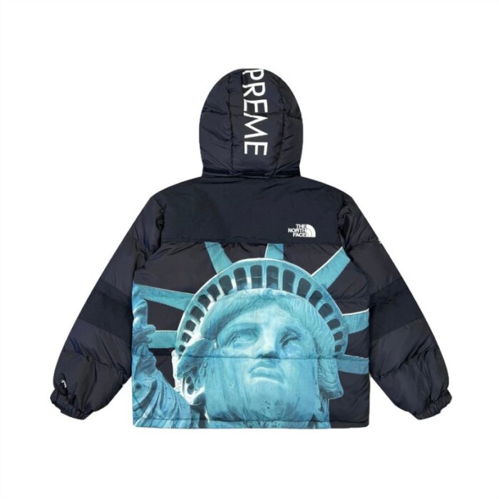 Jacket Supreme x The North Face Statue of Liberty TNF005 - Image 4