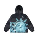 Jacket Supreme x The North Face Statue of Liberty TNF005 - Image 8