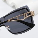 Sunglasses Louis Vuitton LVW066 - Image 9
