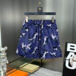 Shorts Louis Vuitton LV224 - Image 2