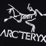 T-shirt Arc'Teryx Oversized Black ATX002 - Image 5