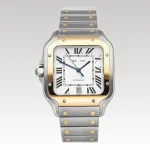 Cartier Automatic CTR014 - Drip Slum