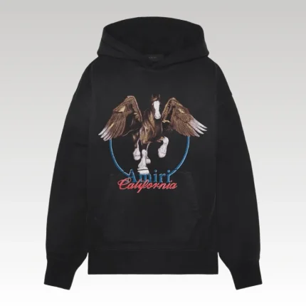Hoodie Amiri AM072 - Drip Slum